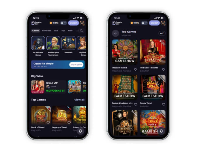 CryptoLeo homepage screenshot
